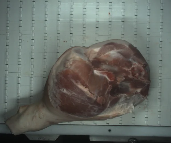 Stamped character on a meat cut.