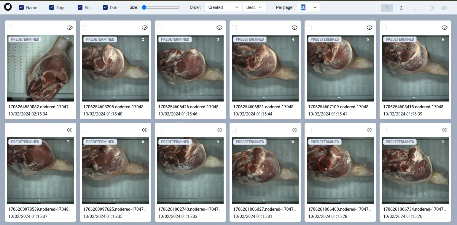 Robotic Laser Marking Process