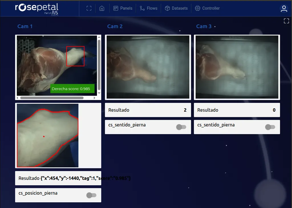 Robotic Laser Marking Process